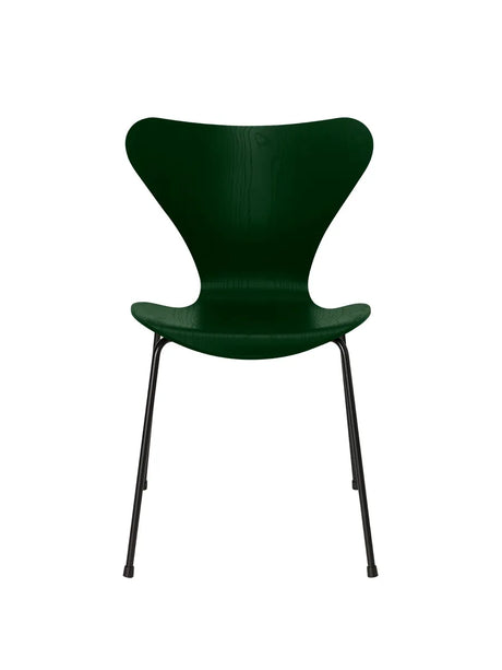 3107 Serie 7 stol i farvet ask af Arne Jacobsen - Evergreen / Sort - Jacobsen Plus