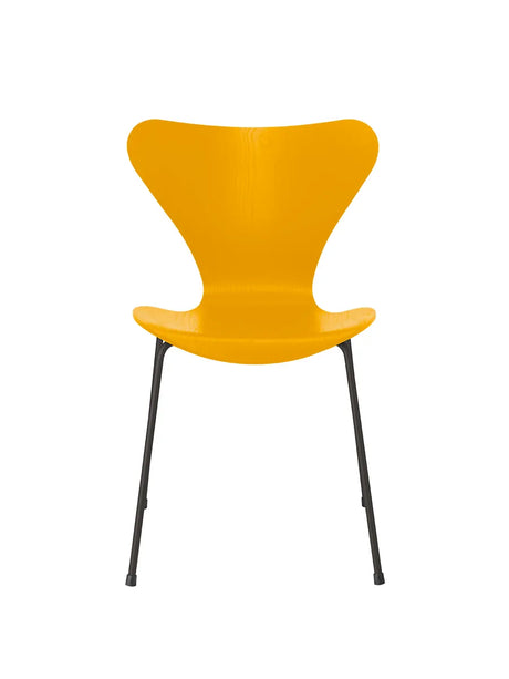 3107 Serie 7 stol i farvet ask af Arne Jacobsen - True Yellow / Warm Graphite - Jacobsen Plus