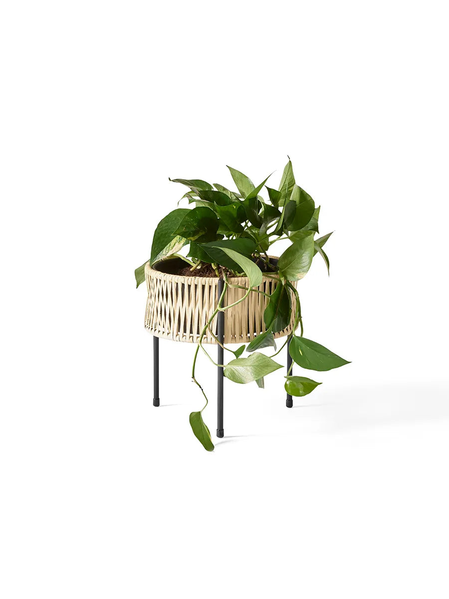 Umanoff Planter 27 fra Audo Copenhagen - 7 - Jacobsen Plus