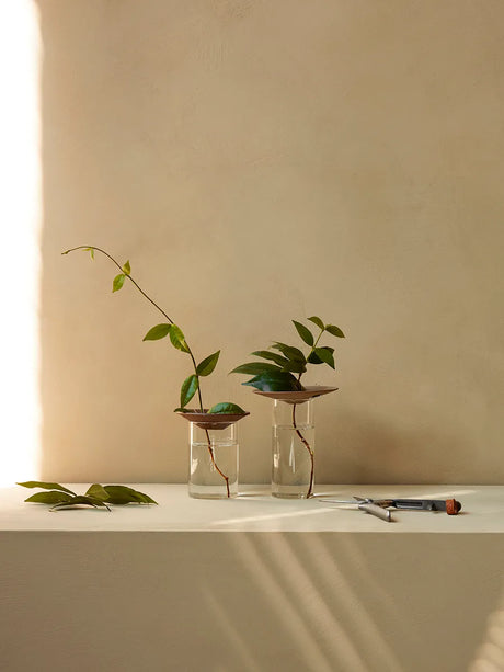 Cresco Propagation Vases, sæt á 2 stk. fra Audo Copenhagen - 2 - Jacobsen Plus