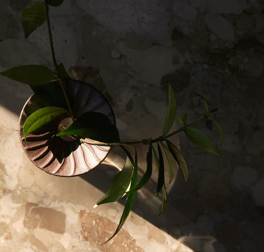 Cresco Propagation Vases, sæt á 2 stk. fra Audo Copenhagen - 3 - Jacobsen Plus