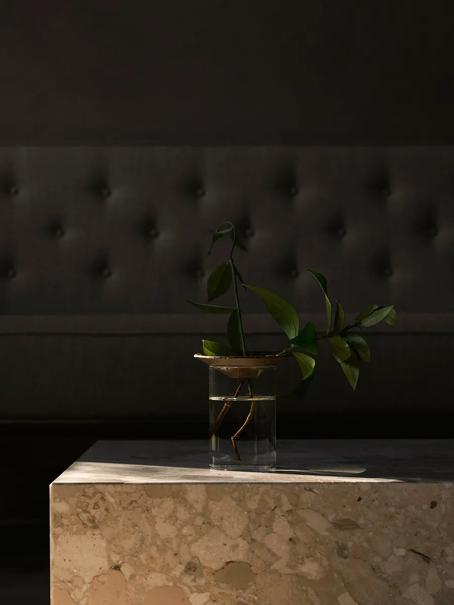 Cresco Propagation Vases, sæt á 2 stk. fra Audo Copenhagen - 4 - Jacobsen Plus