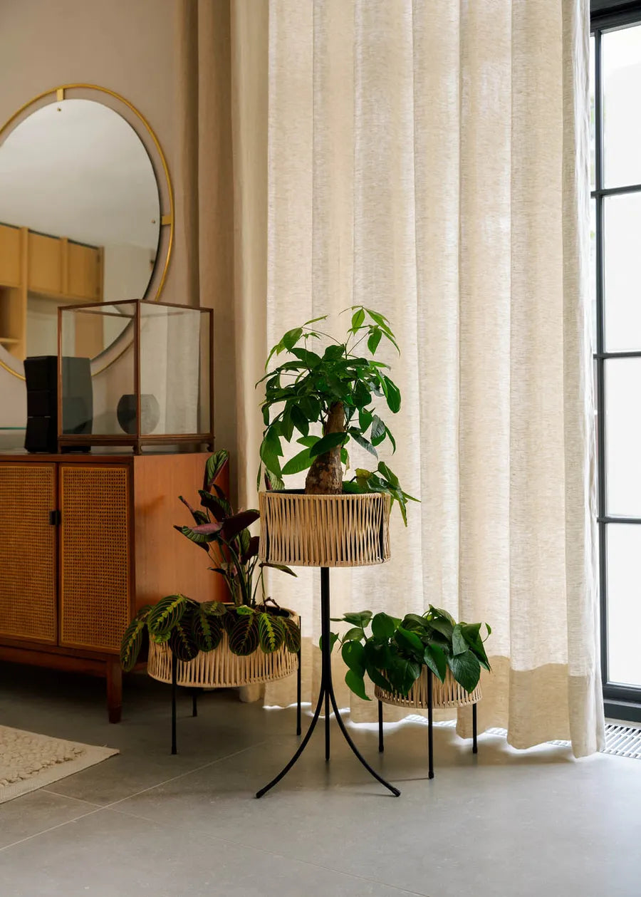 Umanoff Planter 27 fra Audo Copenhagen - 2 - Jacobsen Plus