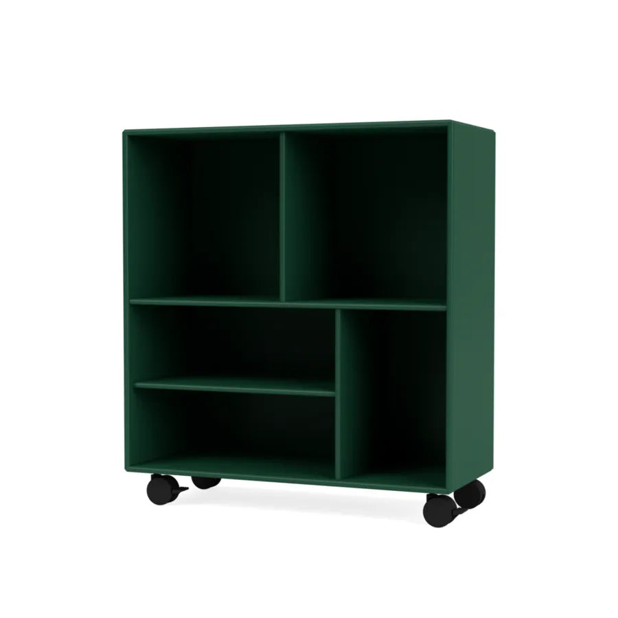 - Pine - Jacobsen Plus