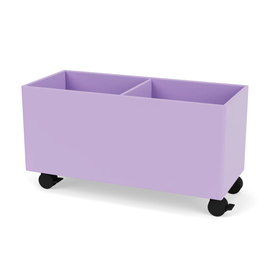 - Iris - Jacobsen Plus