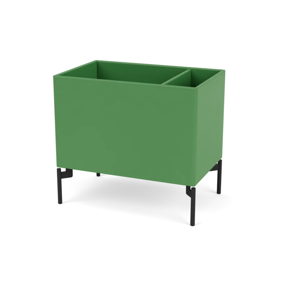 - Parsley / Black - Jacobsen Plus