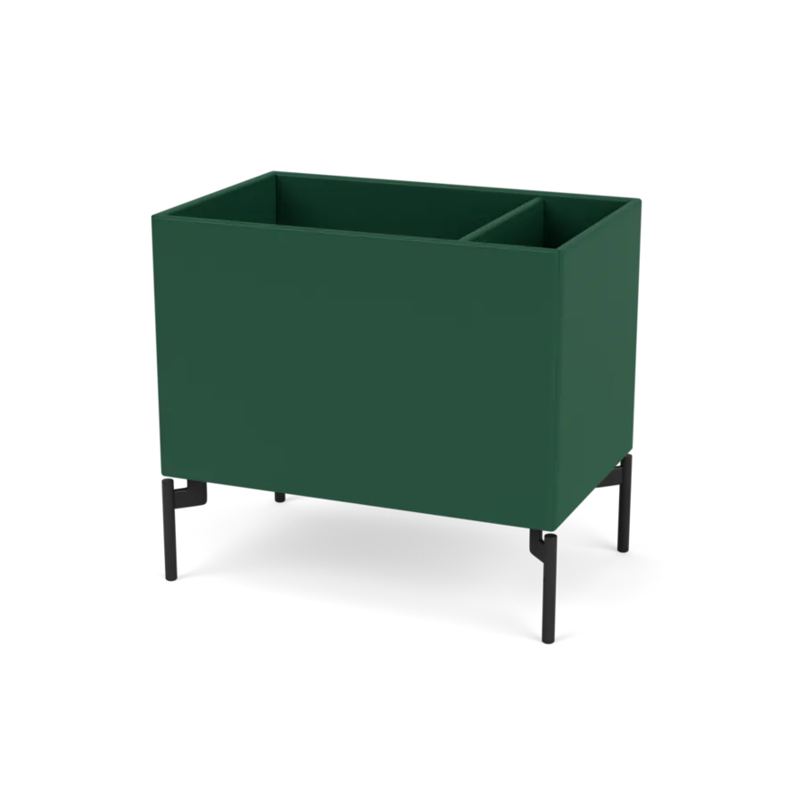 - Pine / Black - Jacobsen Plus