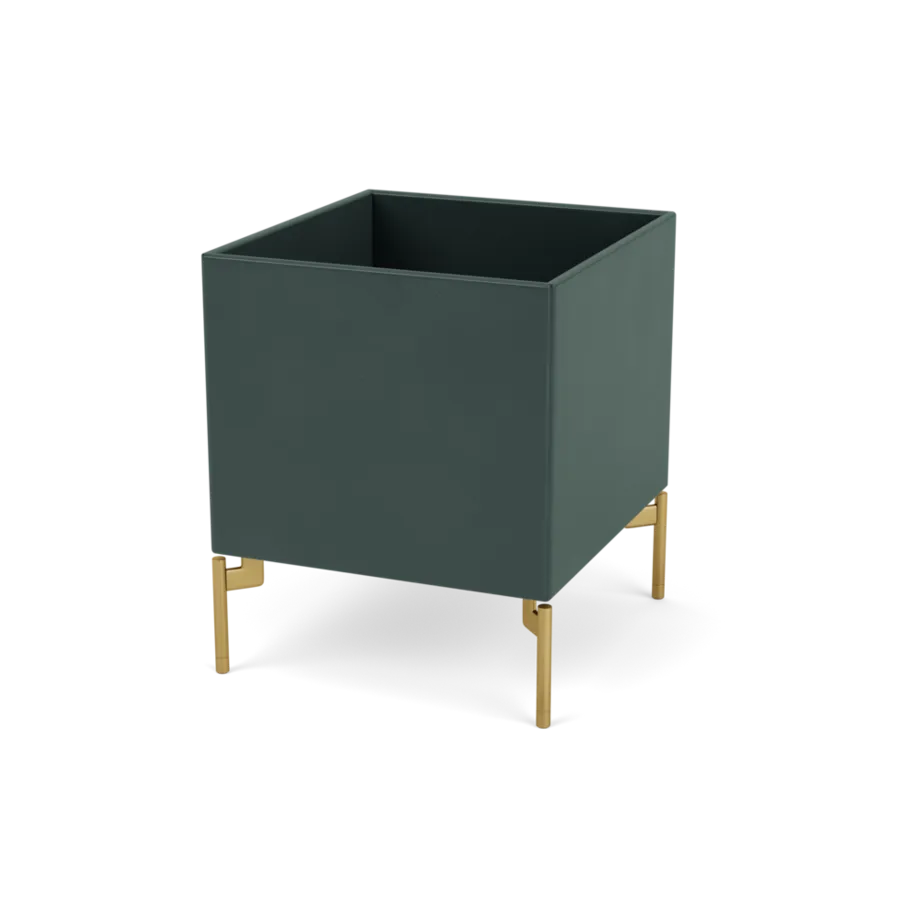 - Black Jade / Messing - Jacobsen Plus