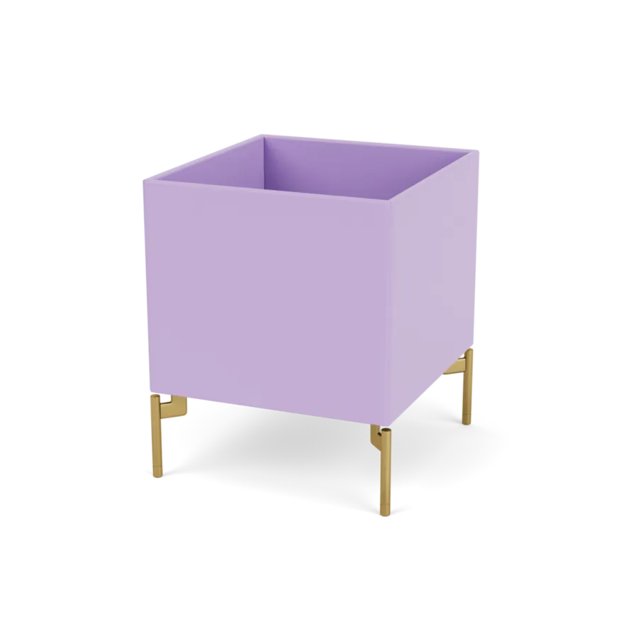 - Iris / Messing - Jacobsen Plus