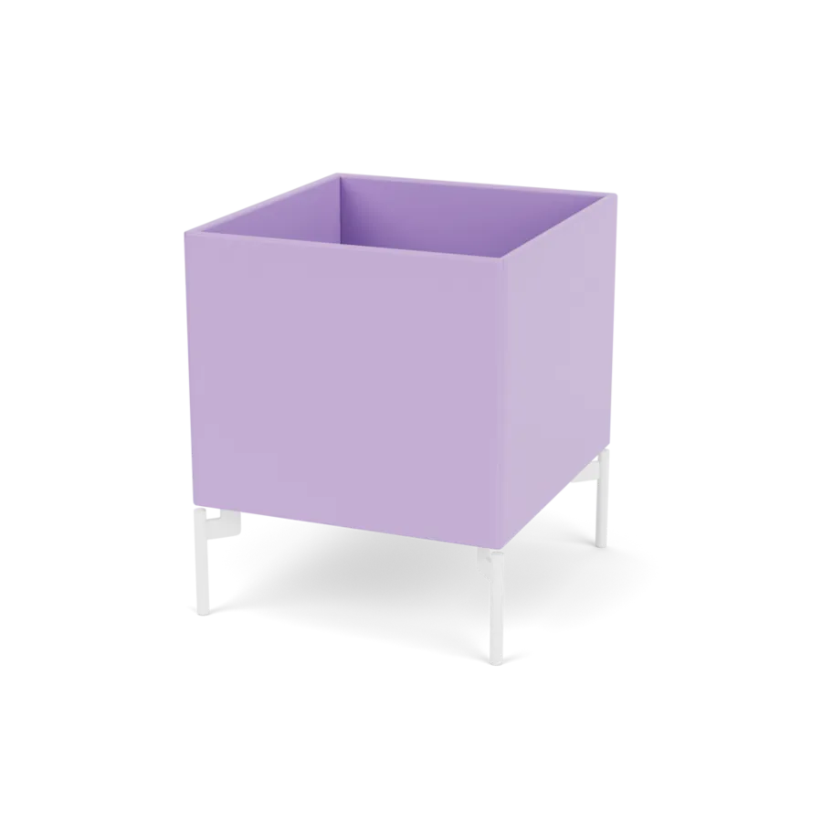 - Iris / Snow - Jacobsen Plus