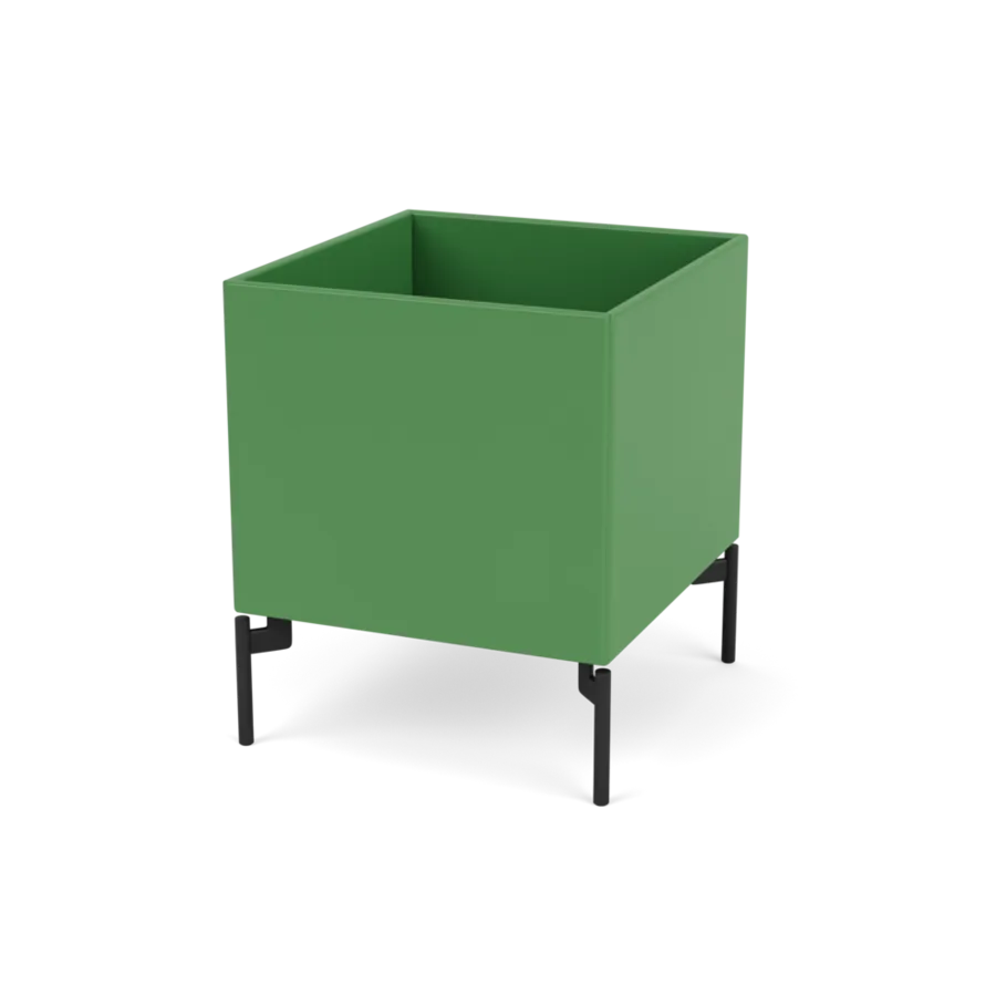 - Parsley / Black - Jacobsen Plus