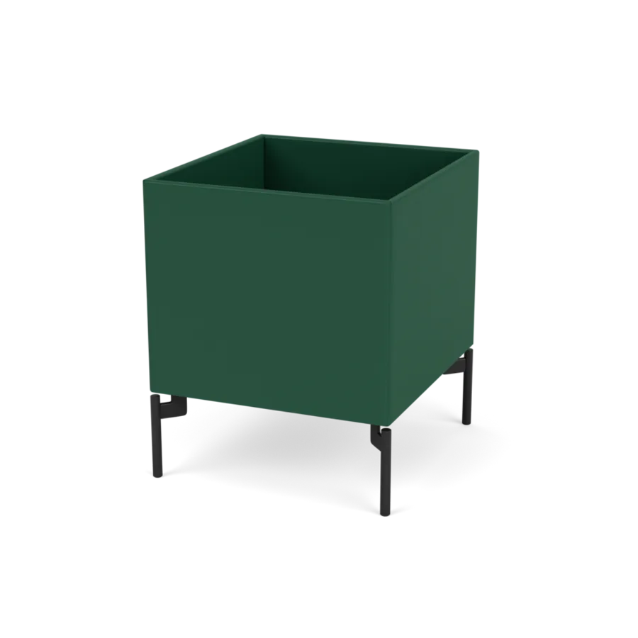 - Pine / Black - Jacobsen Plus