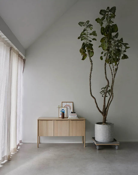 Skagerak Jut Cabinet fra Fritz Hansen - Olieret eg - Jacobsen Plus