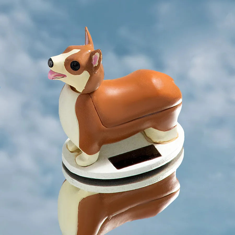 Solar Corgi fra Kikkerland - 2 - Jacobsen Plus