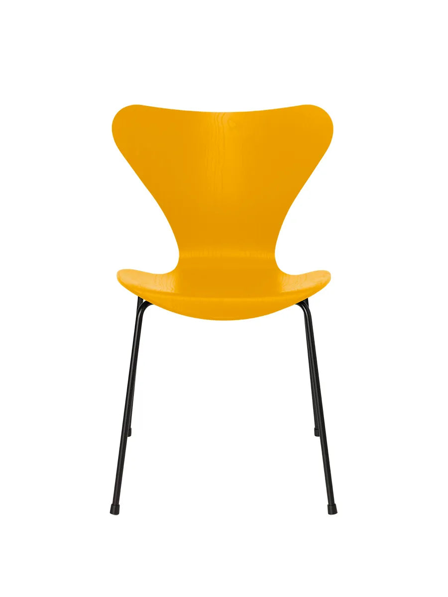 3107 Serie 7 stol i farvet ask af Arne Jacobsen - True Yellow / Sort - Jacobsen Plus