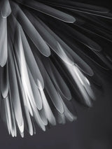 Sun - Light of Love Pendel fra Foscarini - 9 - Jacobsen Plus