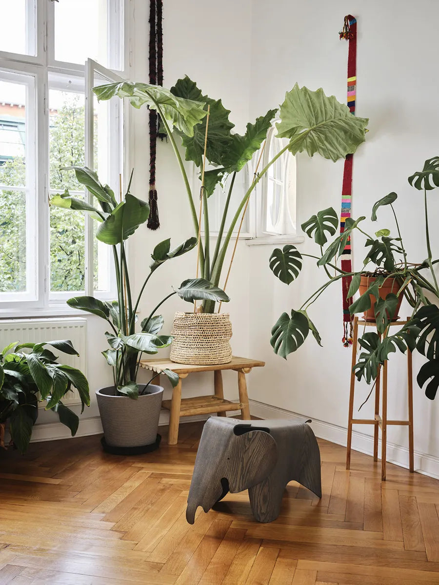 Eames Elephant, 75 års jubilæumsudgave fra Vitra