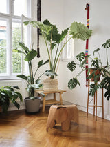 Eames Elephant Plywood fra Vitra - 4 - Jacobsen Plus