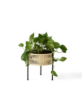 Umanoff Planter 27 fra Audo Copenhagen - 8 - Jacobsen Plus