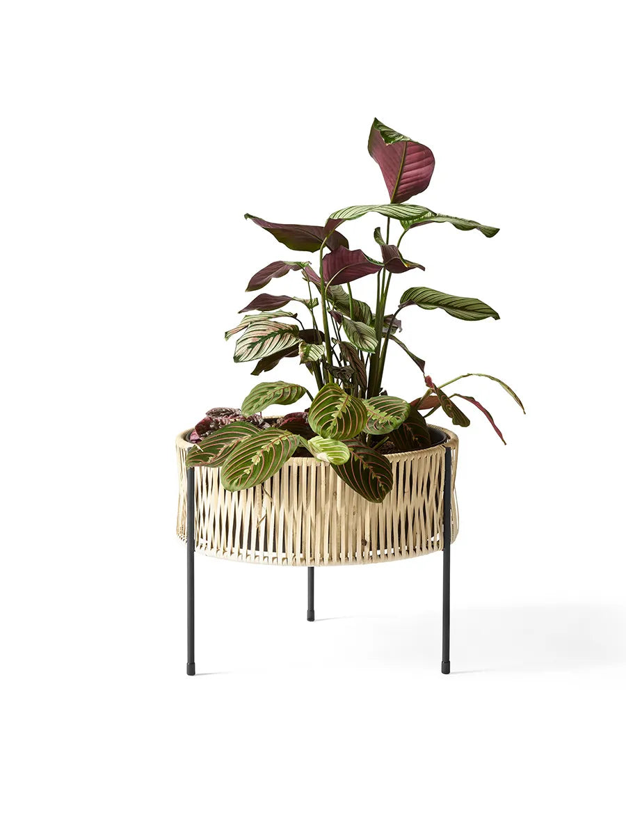 Umanoff Planter, 32,5 fra Audo Copenhagen - 7 - Jacobsen Plus