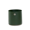 Dark green-Taupe
