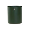 Dark green-Taupe