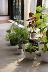 Collect Planter SC71 fra &Tradition - 2 - Jacobsen Plus