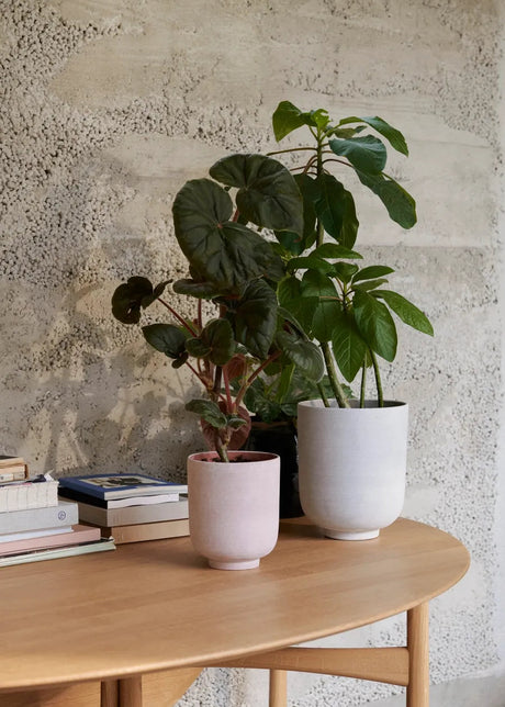 Collect Planter SC72 fra &Tradition - 1 - Jacobsen Plus