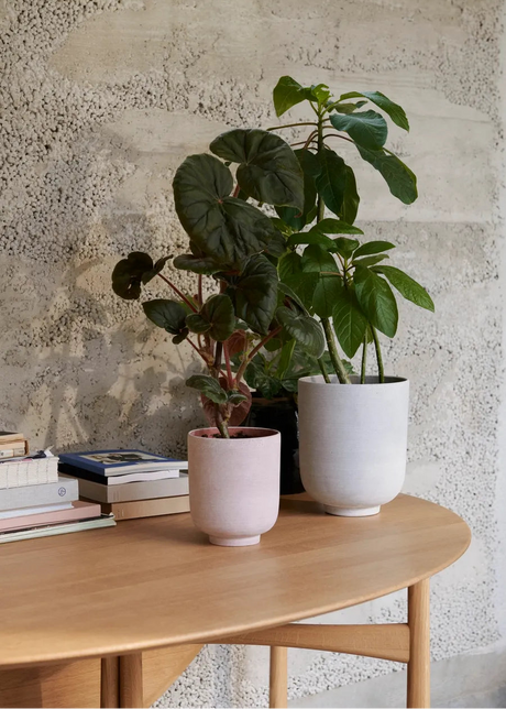 Collect Planter SC69 fra &Tradition - 2 - Jacobsen Plus