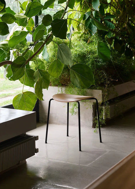 Pavilion Stool AV36 fra &Tradition - Sortlakeret eg - Jacobsen Plus