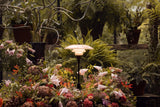 Limited Edition 2025 PH 3/2 Bordlampe fra Louis Poulsen - 8 - Jacobsen Plus