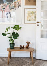 Ælling af Hans Bølling - 2 - Jacobsen Plus