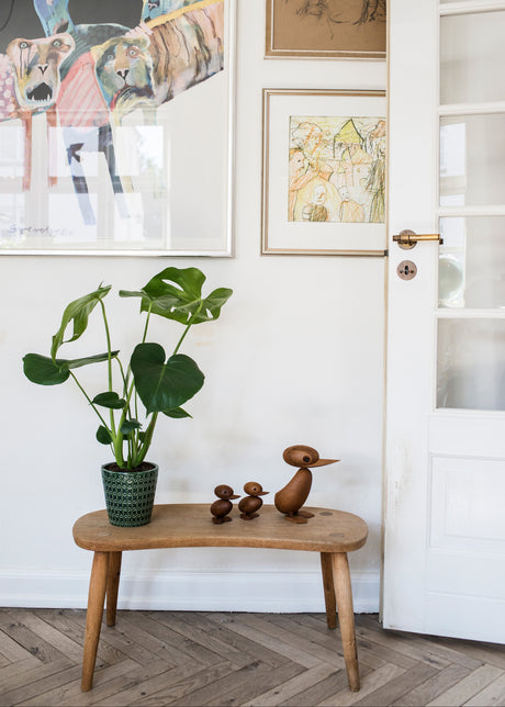 Ælling af Hans Bølling - 2 - Jacobsen Plus