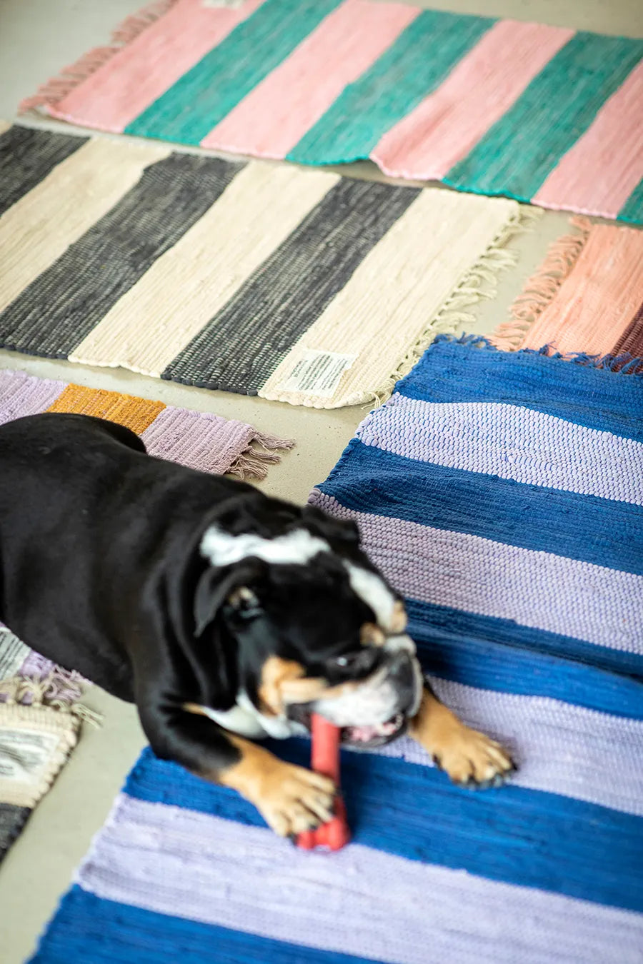 Chindi tæppe, 60x90 cm fra Bongusta