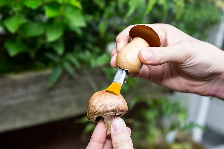 Mushroom Tool Keychain fra Kikkerland - 2 - Jacobsen Plus