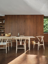 Y-stol CH24P, Eg sæbe med Terra 20364 læder af Hans J. Wegner - 4 - Jacobsen Plus