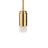 Polished Brass