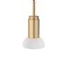 Brushed Brass