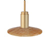 Brushed Brass