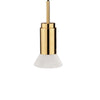 Polished Brass