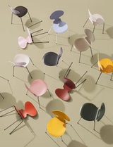 3101 Myren Stol i farvet ask af Arne Jacobsen - 11 - Jacobsen Plus