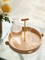 JH Tray fra Fritz Hansen - 3 - Jacobsen Plus