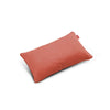 Rhubarb