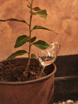 Mercury Water Globe, vandingskugler, 2-pak, clear fra Ferm Living - 2 - Jacobsen Plus