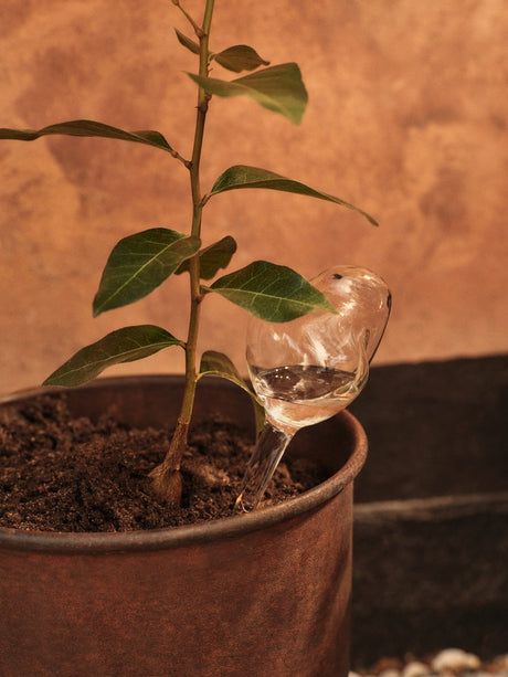 Mercury Water Globe, vandingskugler, 2-pak, clear fra Ferm Living - 2 - Jacobsen Plus