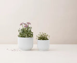 Flowerpot fra Lyngby Porcelæn - 3 - Jacobsen Plus