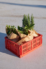 Colour crate M, red fra Hay - 3 - Jacobsen Plus