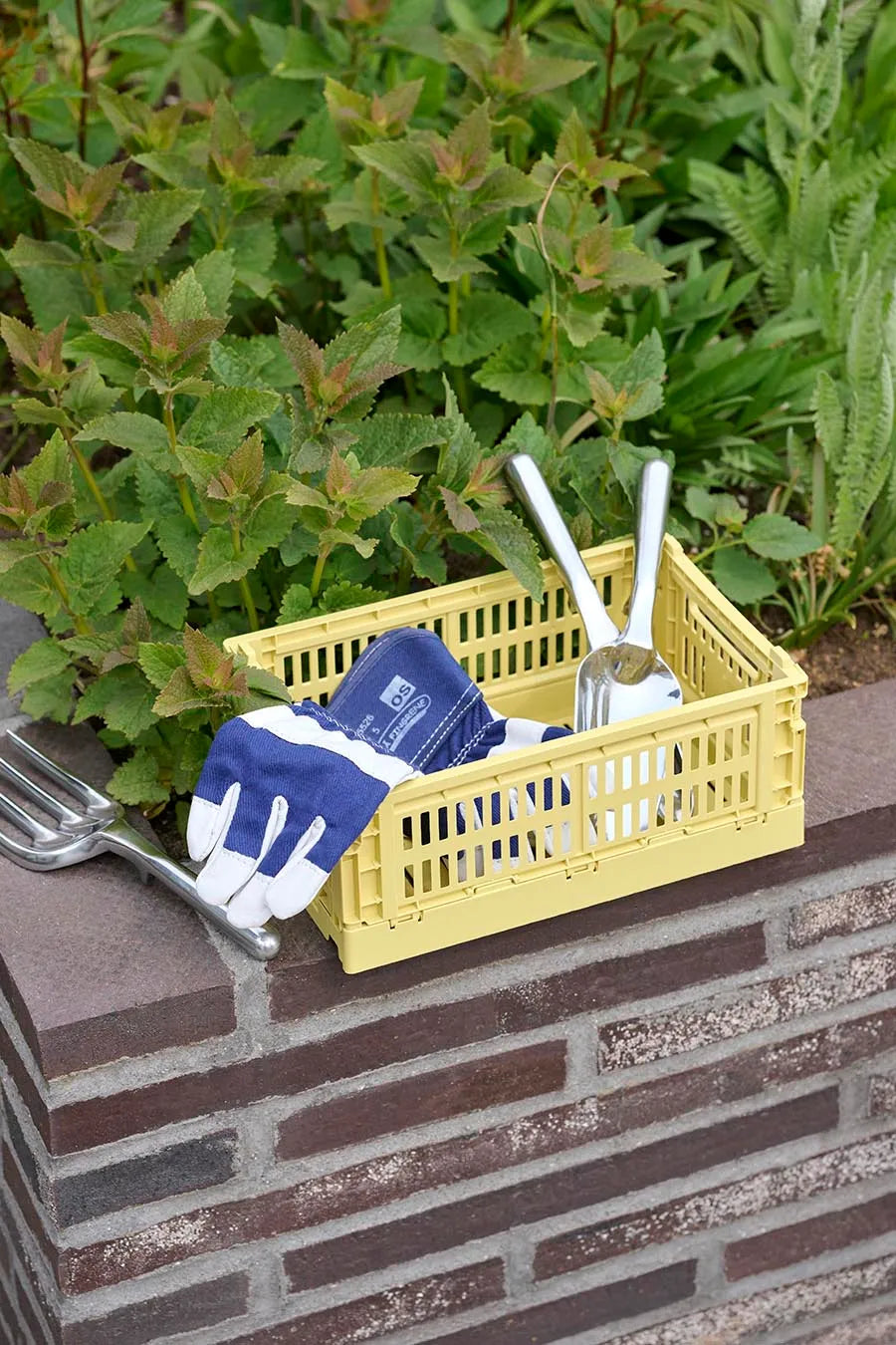  - 18 - Jacobsen Plus