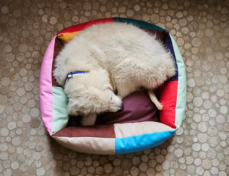 Dogs Bed Small, multi fra Hay - 4 - Jacobsen Plus