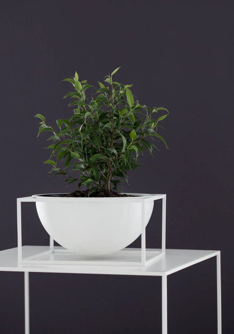 Kubus Bowl Centerpiece Large, hvid fra Audo Copenhagen - 2 - Jacobsen Plus